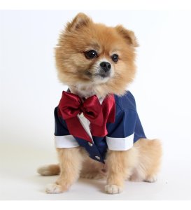 Pet Smokin - Lacivert - Köpek Ve Kedi Için Düğün Nikah Nişan Evlilik Kıyafeti Damatlık